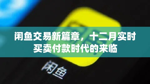 闲鱼交易迈入新篇章，十二月实时买卖付款时代正式开启