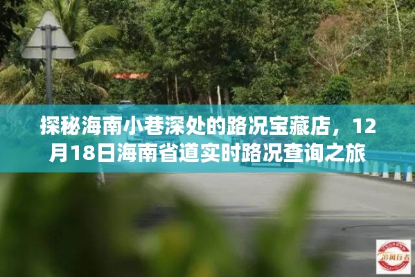 探秘海南小巷深处的宝藏路况店，实时路况查询之旅（12月18日）