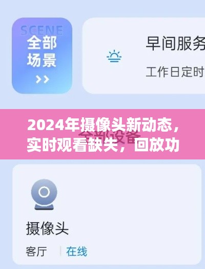 2024年摄像头新动态，回放功能成亮点，实时观看缺失