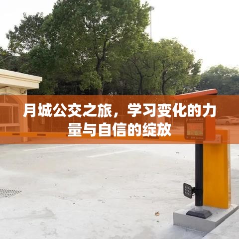 月城公交之旅，探寻变化的力量与自信绽放的旅程