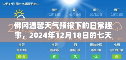 佛冈温馨天气预报下的日常趣事，七天猜想之旅，2024年12月18日开启