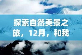 12月探索自然美景，手机实时帧率下的心灵平和之旅