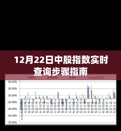 中股指数实时查询指南，12月22日步骤详解