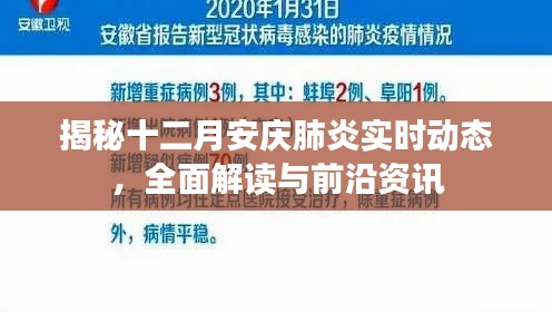 揭秘十二月安庆肺炎实时动态，全面解读与最新前沿资讯