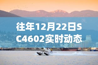 往年12月22日SC4602实时动态概览，航空领域的深度洞察