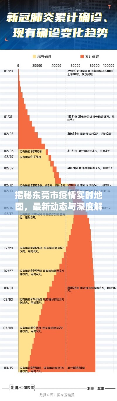 东莞市疫情实时地图深度解读，最新动态与趋势分析（2024年12月版）