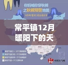 常平镇12月暖阳下的天气与温情故事