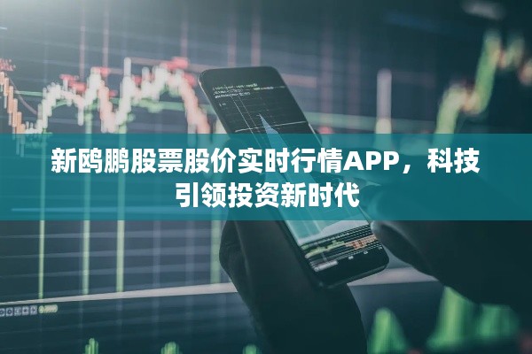 科技引领投资新时代，新鸥鹏股票股价实时行情APP解析