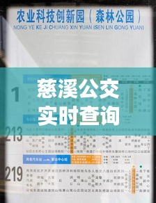 慈溪公交实时查询指南，适合初学者与进阶用户参考