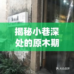 2024年12月22日中国原木期货行情深度解析，小巷特色小店的魅力与期货市场动态揭秘