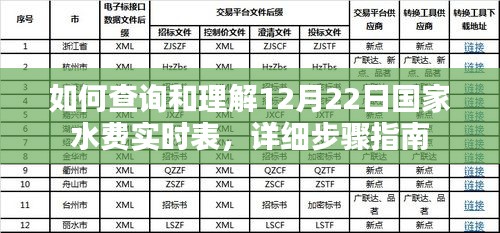 详细步骤指南，如何查询和理解12月22日国家水费实时表