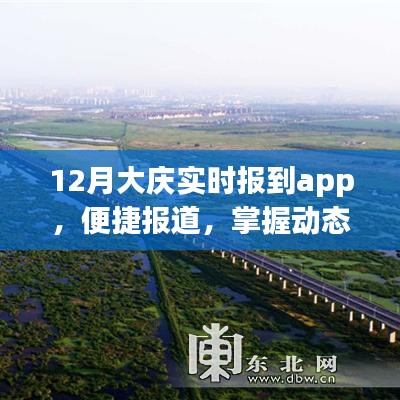 大庆实时报到app，掌握动态，便捷报道的新时代工具