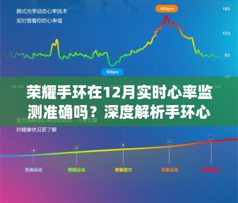 荣耀手环实时心率监测功能深度解析，12月心率监测准确性探讨