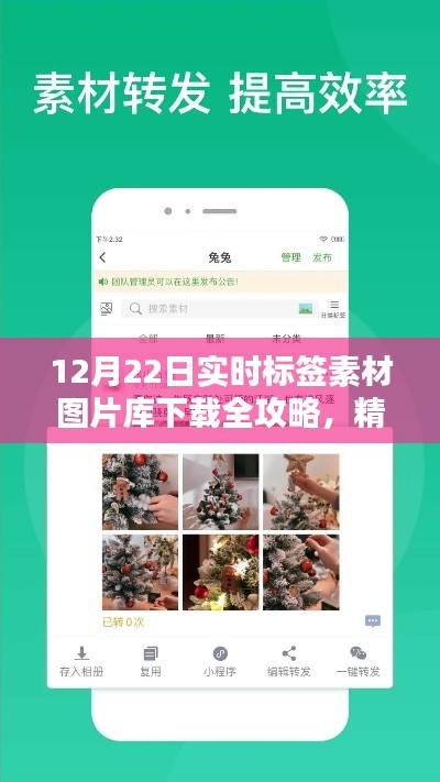 12月22日实时标签素材图片库下载大全，精选资源一网打尽攻略