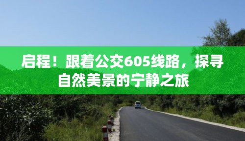 公交605线路，探寻自然美景的宁静之旅启程了！