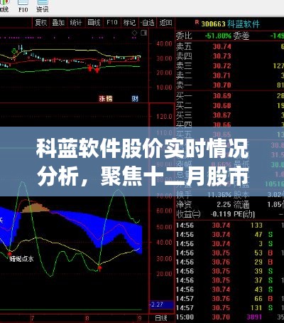 科蓝软件股价实时分析，十二月股市观点碰撞与个人立场聚焦