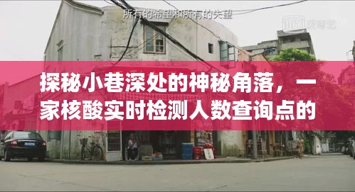 探秘小巷神秘角落，核酸实时检测查询点的独特故事