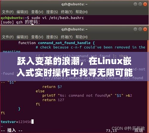 Linux嵌入式实时操作，跃入变革浪潮，探寻无限可能