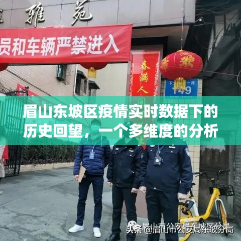 眉山东坡区疫情多维视角分析，实时数据与历史的深度回望