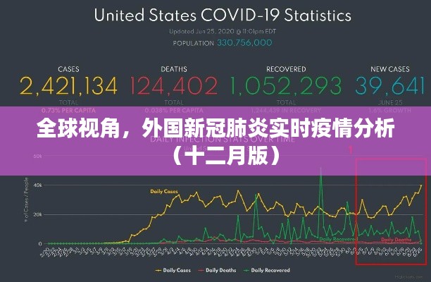 全球视角下的新冠肺炎实时疫情分析（十二月版）