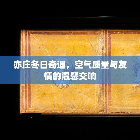 2024年12月25日 第19页