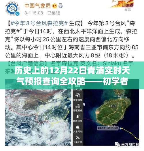 历史上的12月22日青浦实时天气预报查询指南——适合初学者与进阶用户