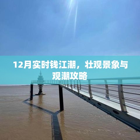 12月钱江潮壮观景象与观潮攻略