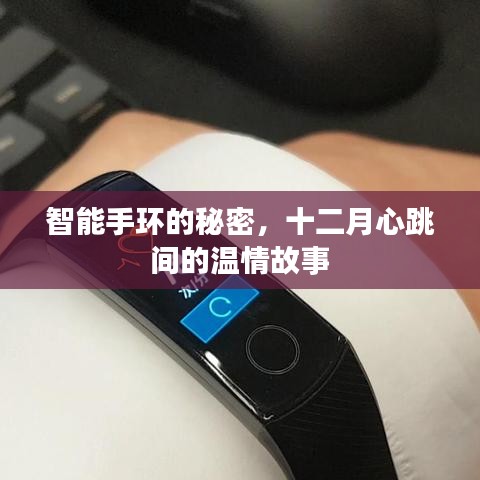 智能手环背后的温情故事，十二月心跳的秘密