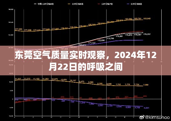 东莞空气质量实时观察，呼吸间的变化，2024年12月22日报告