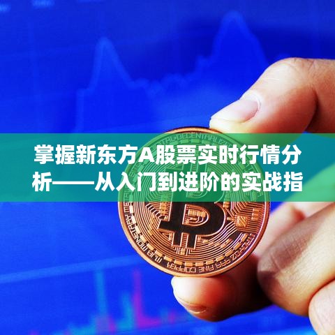 新东方A股票实时行情解析实战指南，入门到进阶的12月22日深度剖析