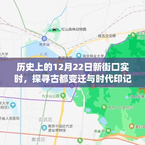 2024年12月25日 第6页