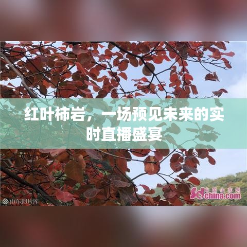 红叶柿岩，未来盛宴实时直播预览