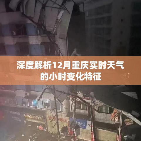 重庆十二月实时天气深度解析，小时变化特征探讨