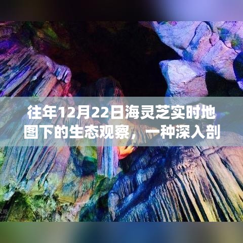 深入剖析，海灵芝实时地图下的生态观察之旅