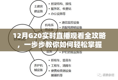 12月G20峰会实时直播观看全攻略，轻松掌握观看步骤