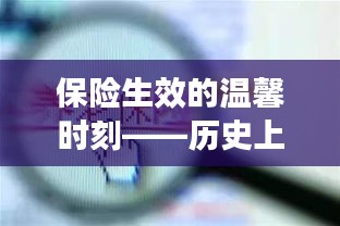 保险生效的温馨时刻——纪念历史上的重要日子，十二月二十二日