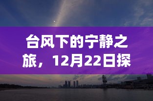 台风下的宁静之旅，探索自然美景的奇妙旅程（12月22日）