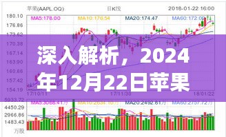 苹果股票行情实时查询深度解析，2024年12月22日全面评测报告