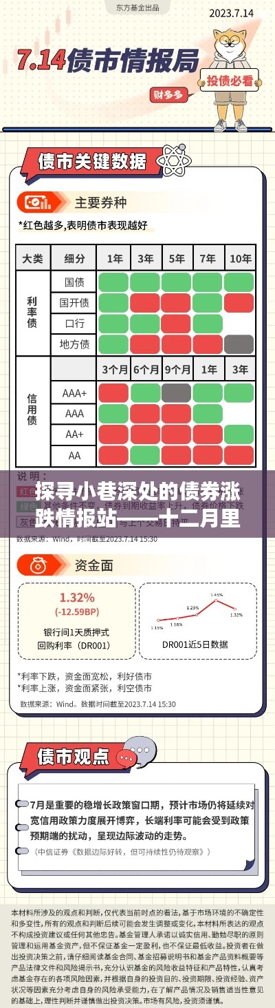 十二月小巷深处的债券情报之旅，深度探寻涨跌动态