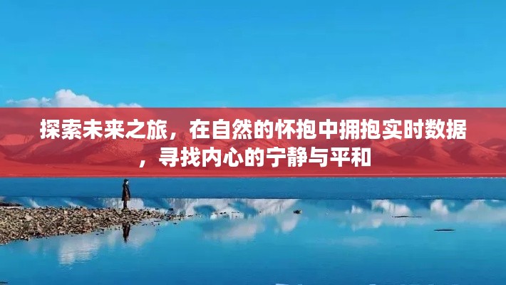 自然中的未来之旅，实时数据的探索与内心宁静的追寻