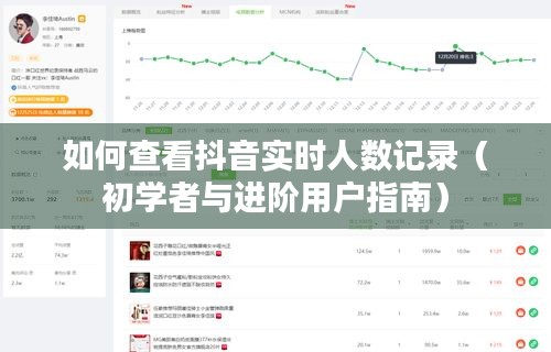 抖音实时人数记录查看指南，初学者与进阶用户必备教程