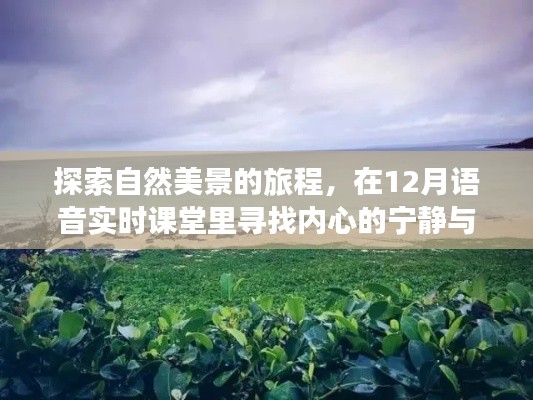 探索自然美景之旅，语音实时课堂中的心灵宁静寻觅