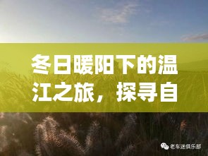 冬日暖阳下的温江探秘，自然美景与内心宁静之旅