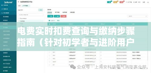 电费实时扣费查询与缴纳步骤详解（初学者与进阶用户指南）​​——以当前日期为例（2024年12月22日）