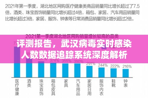 武汉病毒实时感染人数追踪系统深度评测报告解析