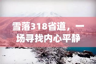 雪中探秘之旅，雪落318省道的心灵之旅