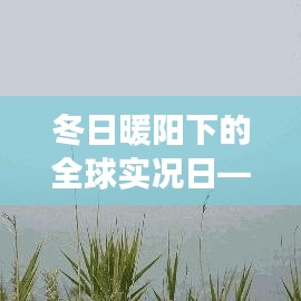 冬日暖阳下的全球实况日，日常故事的温馨篇章