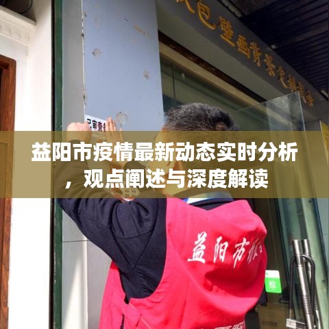 益阳市疫情最新动态深度解读与观点阐述