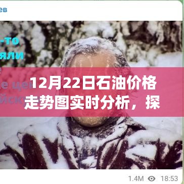 12月22日石油价格走势实时解析，影响因素与观点争议探讨