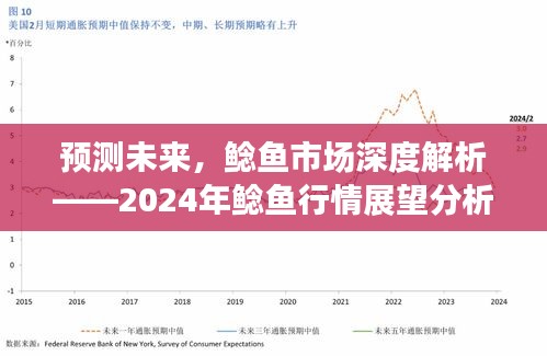 深度解析鲶鱼市场趋势，预测未来行情展望至2024年